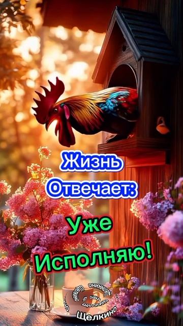 Доброе утро. Спокойной ночи. ВидеоОткрытки смотреть онлайн