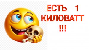 СТЕНЛИ МЕЙЕР. УСИЛИТЕЛЬ МОЩНОСТИ РАБОТАЕТ. 1 КИЛОВАТТ МОЩНОСТИ В ИМПУЛЬСЕ ФАКТИЧЕСКИ ПОЛУЧЕН !!!
