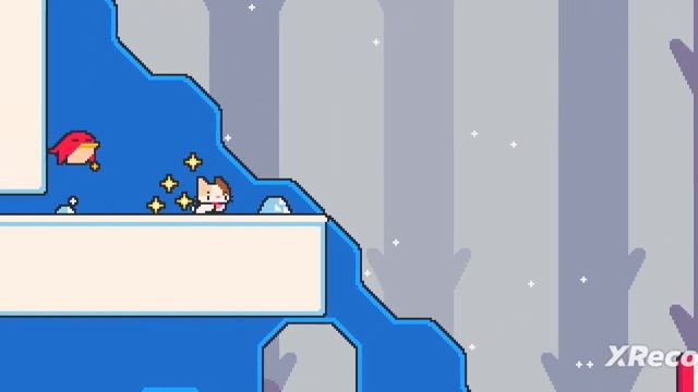 коты попали в зиму