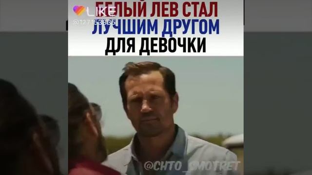 белый лев мило смотреть онлайн