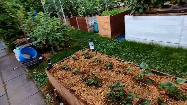 Солнечные панели 36В 370Ватт на дачу. смотреть онлайн