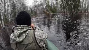 Охота на уток. Весна 2025 год.