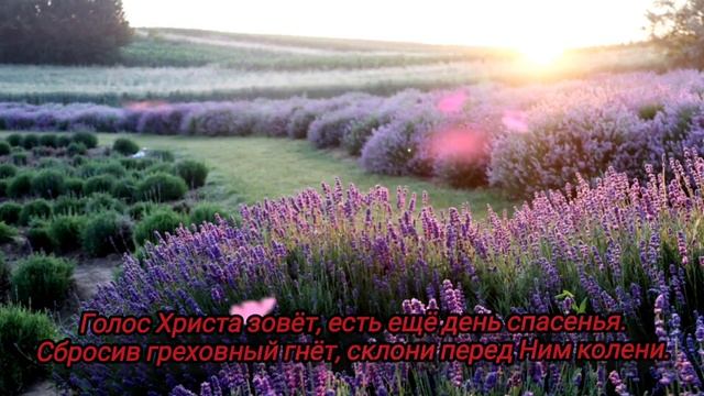 Иди за Мной, не бойся тревог | Христианские песни| Christian