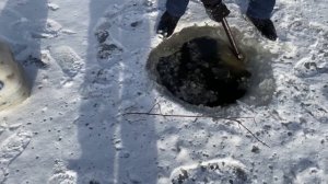 МУНДУ за 2 дня на всю зиму