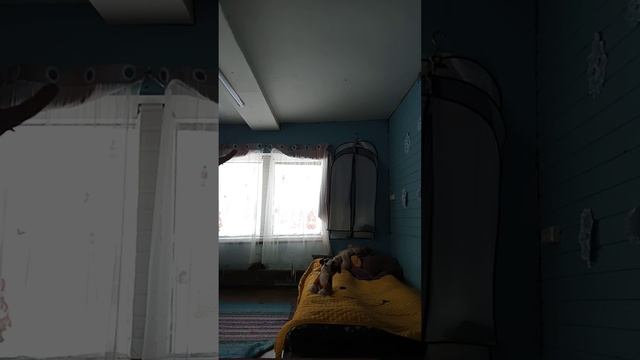 рассказ о луке