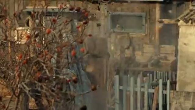 НЕ ДЛЯ МЕНЯ !!! (х/ф 