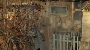 НЕ ДЛЯ МЕНЯ !!! (х/ф "Дом")