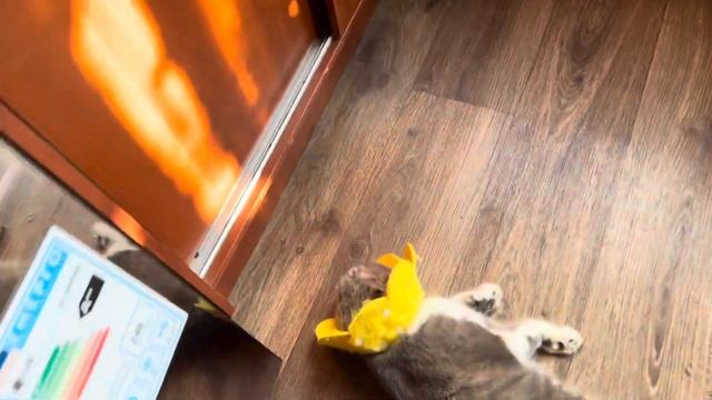 Закупила продукты в дорогу/ Ленивый хачапури за 5 мину?