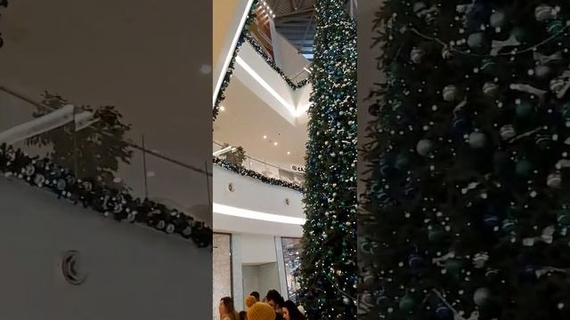 Баку Азербайджан 🇦🇿 ТЦ Дениз Молл #azerbaycan #баку #азерб