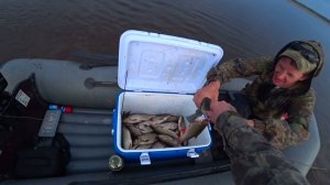 Вот это рыбалка!!! С одного места целая куча рыбы!!! Рыба сама выпрыгивает на берег!!!