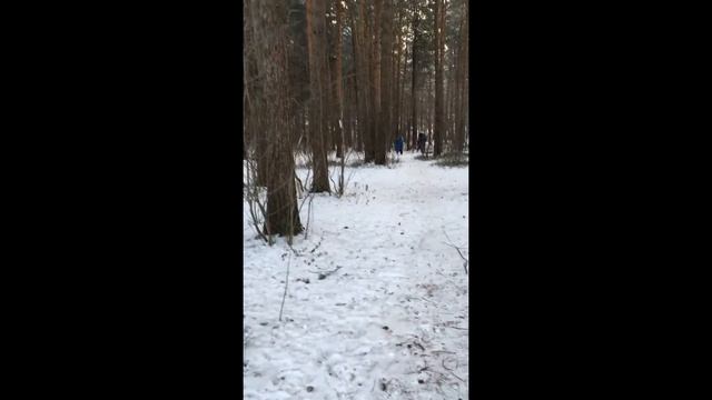 VLOG#Олени в городе. Мои новые вязаные вещи в работе. Красивые места Парка За Саймой.
