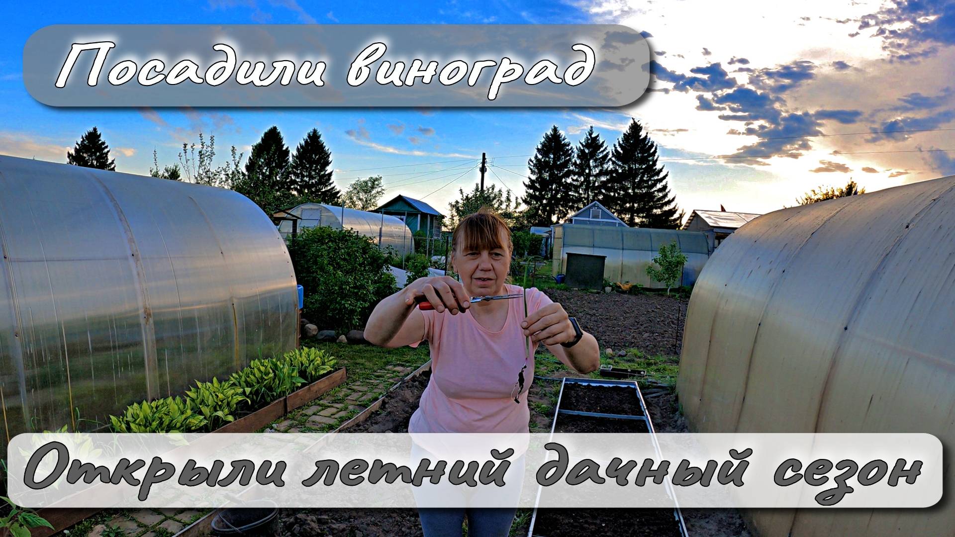 ПОСАДИЛИ ВИНОГРАД ОТКРЫЛИ ЛЕТНИЙ ДАЧНЫЙ СЕЗОН смотреть онлайн