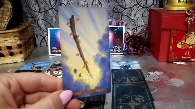 Карта дня на 14 июля 2021 года смотреть онлайн