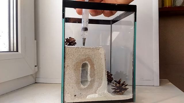 Муравьиная ферма КУБ-1. Formicarium 