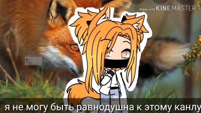 Новости по каналу!!!Смотреть всем! А то тапочки кидать буду!!! смотреть онлайн