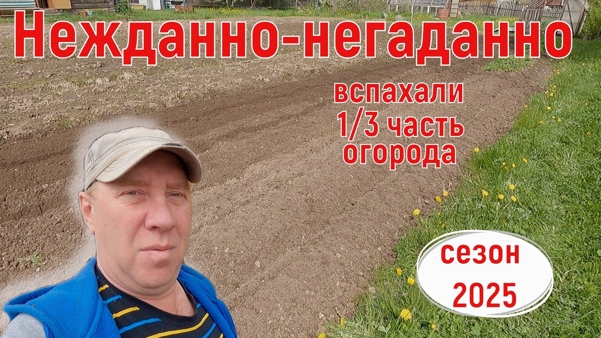 Всё пошло не по плану... Огород, сезон 2025 год.