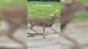 СКИНВОЛКЕРЫ СНЯТЫЕ НА КАМЕРУ