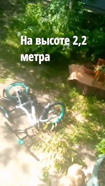 Я нахожусь на высоте 2,2 метра [я на лестнице] смотреть онлайн