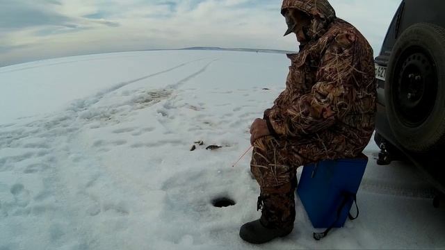 Грачи прилетели вернее рыболовы.02.04.17 года. смотреть онлайн