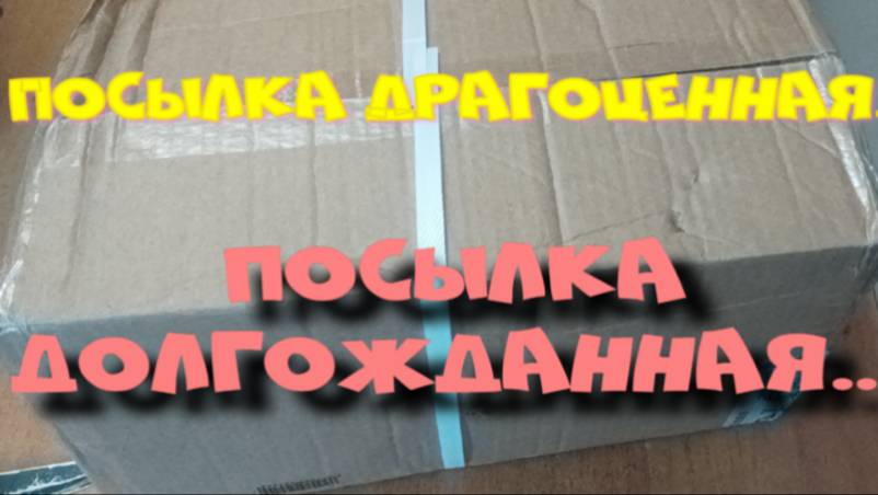 ДРАГОЦЕННАЯ ПОСЫЛКА! смотреть онлайн