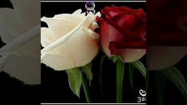 Семейка(3) смотреть онлайн