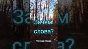 Александр Янущик.  Зачем слова.