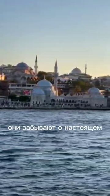 Мудрые слова смотреть онлайн