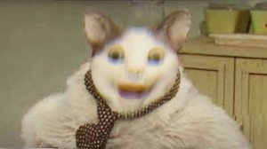 Бу! Испугался? (N011-A)