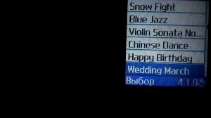 Samsung SGH-X450 Рингтоны/Ringtones