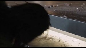 темное зеркало 2