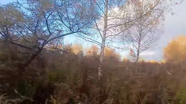 1627777 смотреть онлайн