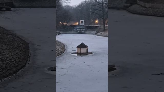 Разведка ледовой обстановки. Пруд у Физтеха, Лианозовские пруды, Долгие пруды. 13.03.25 смотреть онлайн