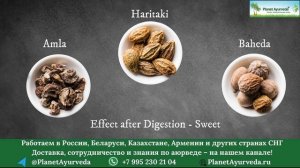 Трифала – мощное аюрведическое средство для очищения