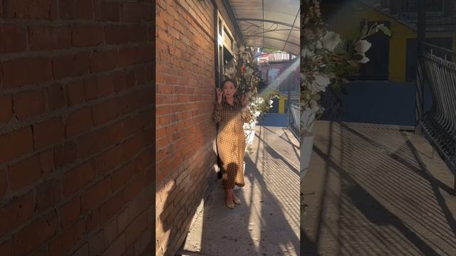 Резет Филиппа Рафферти