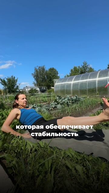 ПЛОСКИЙ ЖИВОТИК