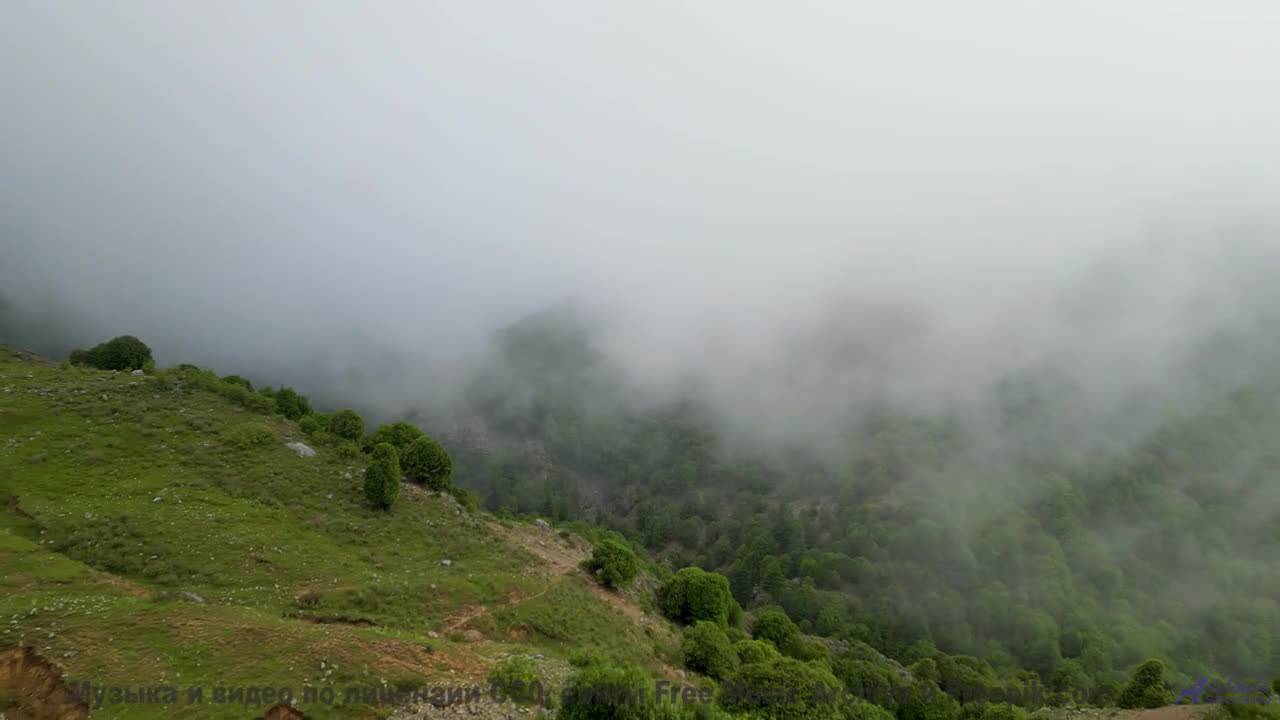 Никто не останется равнодушным к такому сочетанию - Forte -- Ketsa -- Summer With Sound смотреть онлайн