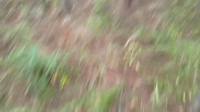 Опять печём блины крупяные,пирожки-треугольники.Съез?