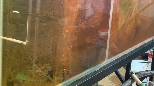 Пруд в гараже.Что б не забыли. смотреть онлайн