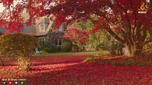 Сборник ЛУЧШИХ Мелодий от которых мурашки по телу! Music heals the heart Sergey Chekalin! смотреть онлайн
