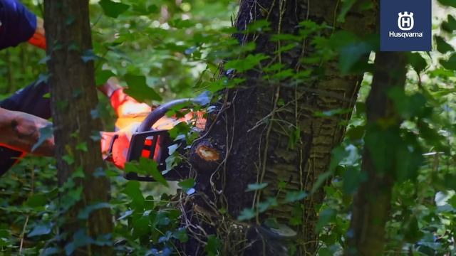 Промоция на моторни триони Husqvarna