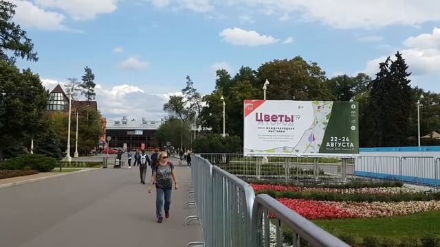 Выставка "Цветы и город" - бесплатная регистрация смотреть онлайн