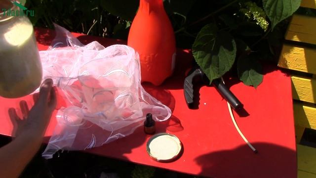 ФИТОФТОРА. Раствор для опрыскивания на основе кисломолочных продуктов - 7 дач