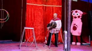 Уральский цирк-шапито (2)