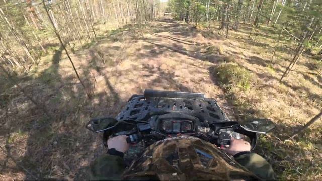 AODES 650, тестим!