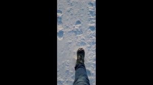 Новый год на Алтае. 3я серия
Продолжение отдыха друзей на Алтае на Новогодних праздниках