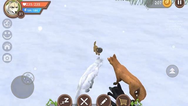 Типы игроков и открывания сундуков! 