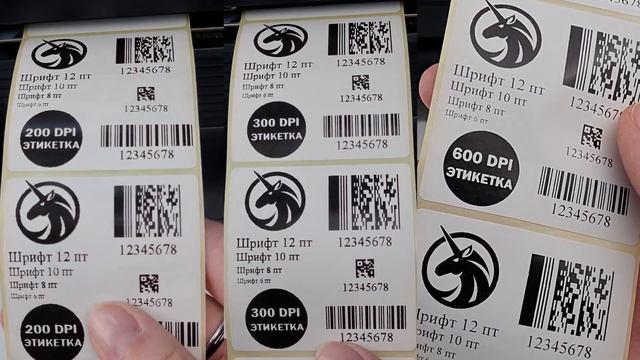 🔍 Сравнение принтеров 200, 300 и 600 DPI: На нейлоне, этикетк