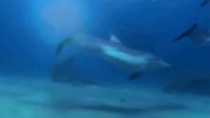 Тайны морей и океанов для детей