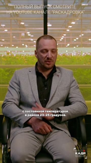 Чтобы розы дольше стояли, нужно 📝 Полный выпуск смотреть на канале "Раскадровка" смотреть онлайн