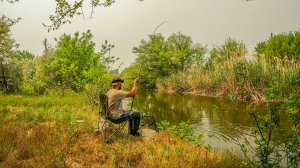 КИНУЛ КУКУРУЗУ И ГОРОХ И КАК ПОПЁРЛО! ЖОР КАРАСЯ НА ПОПЛАВОК. Рыбалка в городе Астрахань.